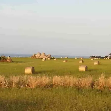 Meraviglioso Apartment