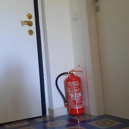 Meraviglioso * Cozze